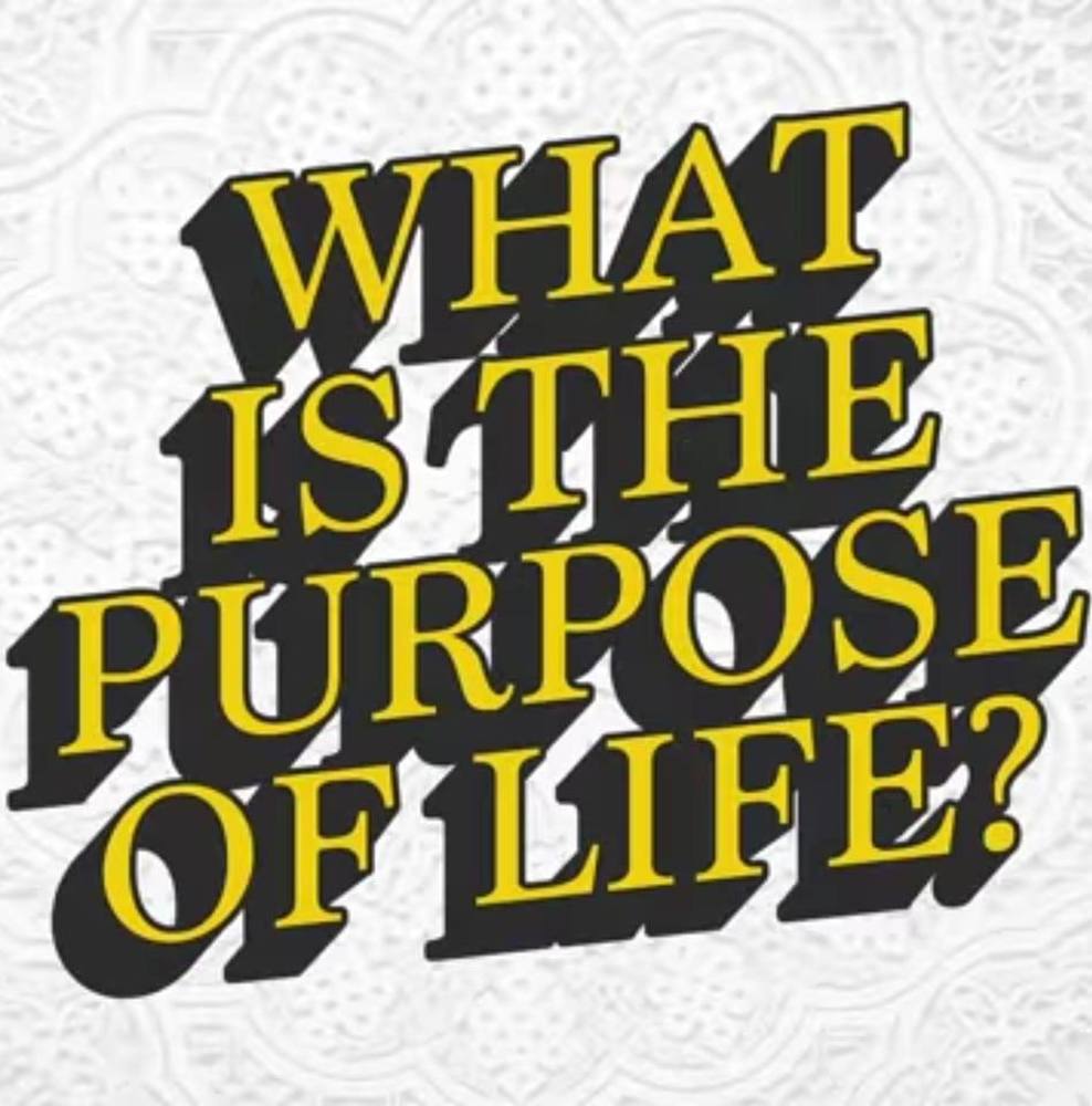 Meet your Posher, Jerry